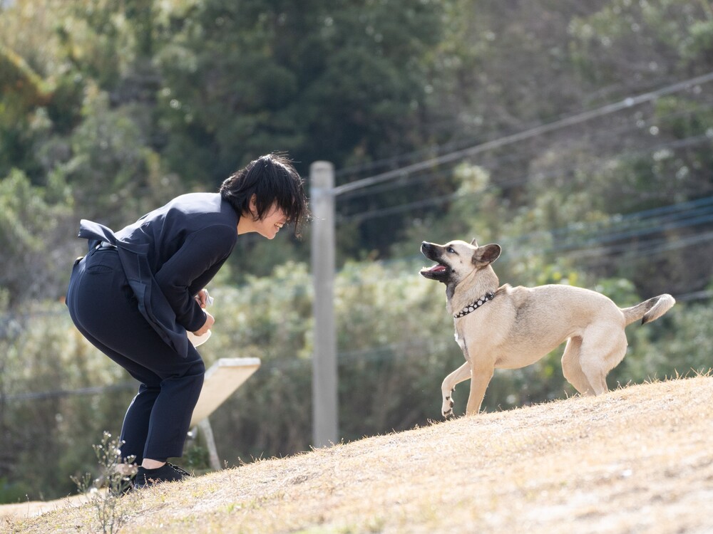 【9/22(日)　第29回ワンちゃん・猫ちゃん譲渡会開催！】先輩保護犬「フィル」と「ルーチェ」も会場でお待ちしております！